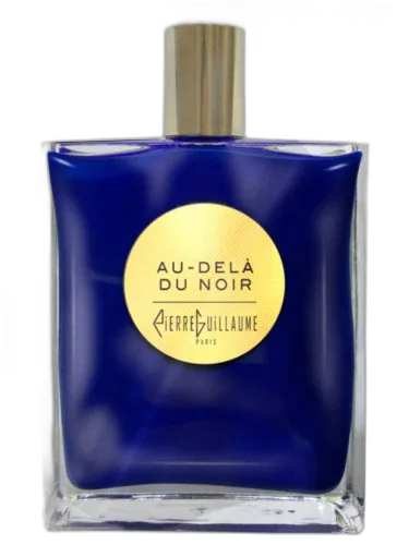 Au Dela Du Noir Pierre Guillaume Paris