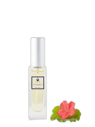 Audace Pour Homme Fl Parfums