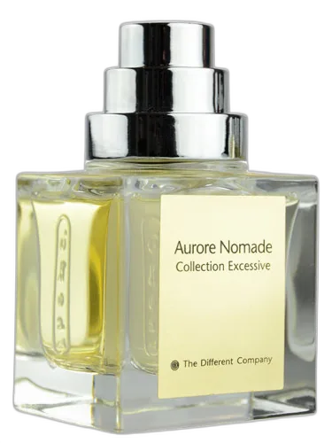 Aurore Nomade The Different Company