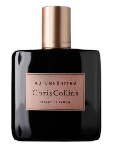 Autumn Rhythm Chris Collins