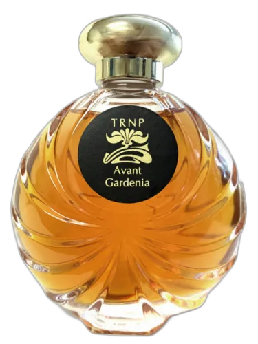 Avant Gardenia Trnp by TRNP