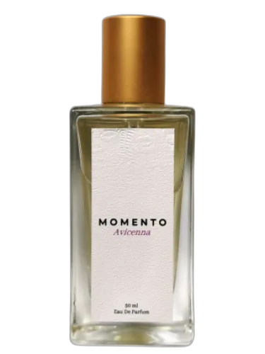 Avicenna Momento Perfumery by Momento Perfumery