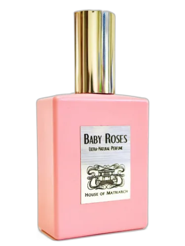 Baby Roses House Of Matriarch by House of Matriarch