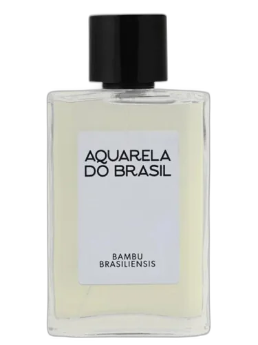 Bambu Brasiliensis Aquarela Do Brasil by Aquarela do Brasil
