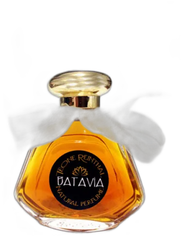Batavia Trnp by TRNP