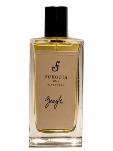 Beagle Fueguia 1833 by Fueguia 1833