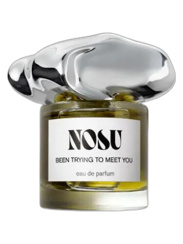 Been Trying To Meet You Nosu