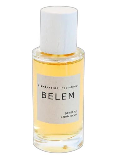 Belem Clandestine Laboratories