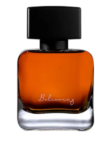 Believing Phuong Dang by Phuong Dang