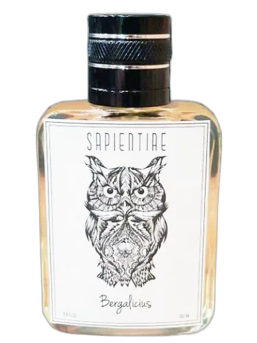 Bergalicius Sapientiae Niche by Sapientiae Niche