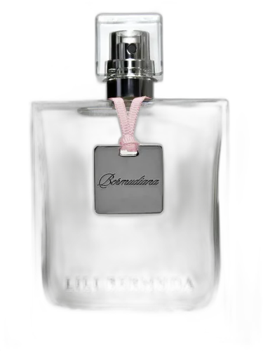 Bermudiana Lili Bermuda by Lili Bermuda