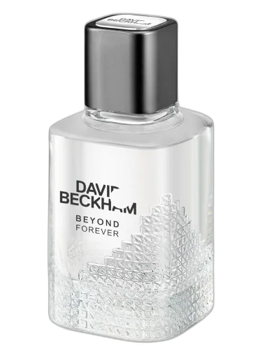 Beyond Forever David Beckham by David Beckham