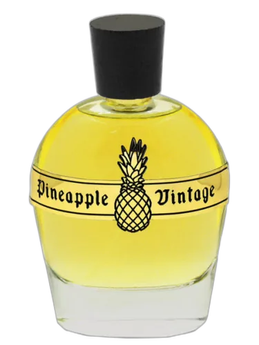 Beyond Noir Parfums Vintage by Parfums Vintage
