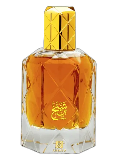 Bin Shaikh Ahmed Al Maghribi by Ahmed Al Maghribi