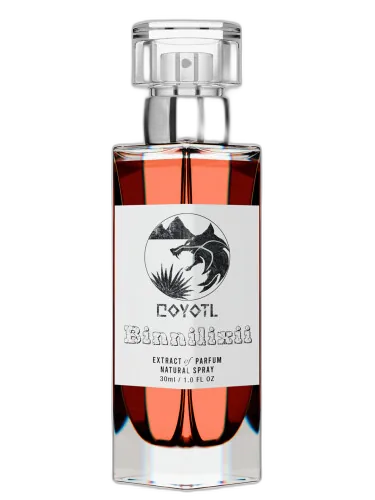 Binnilixii Coyotl by Coyotl
