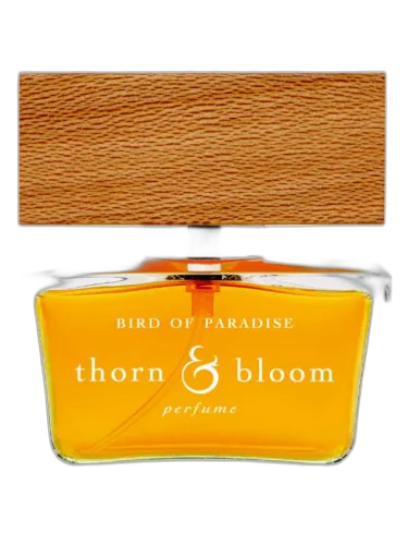 Bird Of Paradise Thorn & Bloom