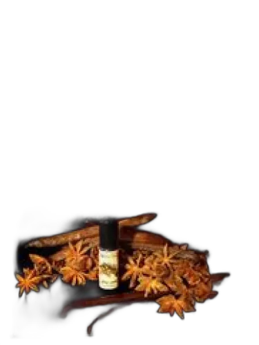 Black Mallow Solstice Scents