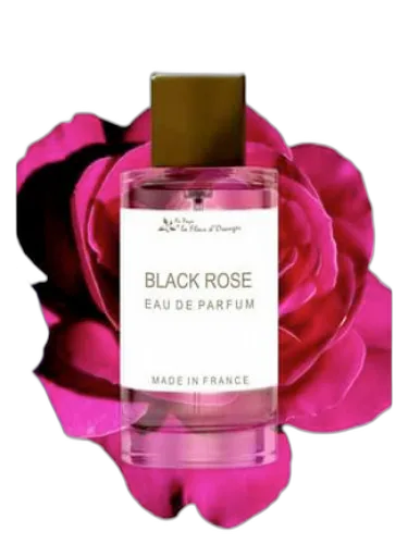 Black Rose Au Pays De La Fleur D’oranger by Au Pays de la Fleur d’Oranger