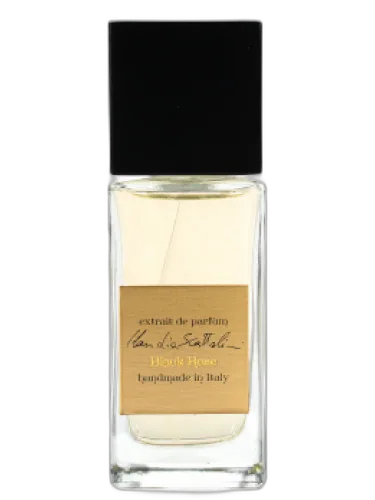 Black Rose Claudia Scattolini by Claudia Scattolini
