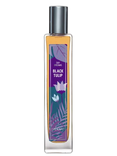 Black Tulip Brocard