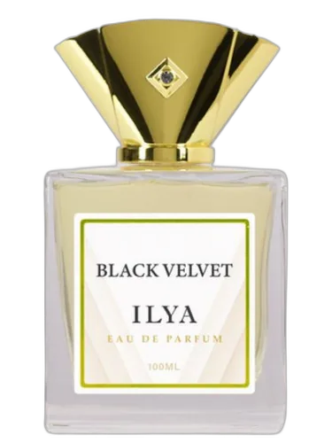 Black Velvet Ilya Parfums