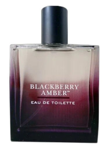 Blackberry Amber Bath & Body Works by Bath & Body Works