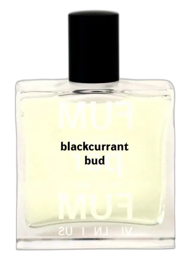 Blackcurrant Bud Fumparfum by FUMparFUM