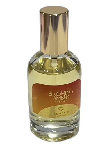 Blooming Amber Frederico Parfums by Frederico Parfums