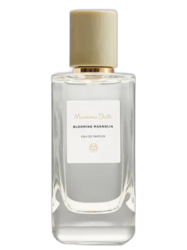 Blooming Magnolia Massimo Dutti by Massimo Dutti