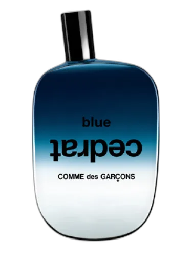 Blue Cedrat Comme Des Garcons by Comme des Garcons