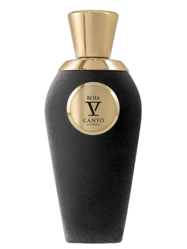 Boia V Canto by V Canto
