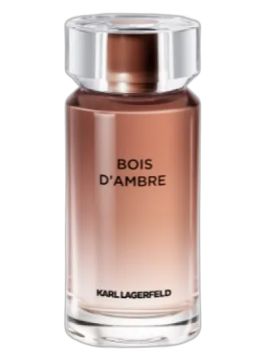 Bois D'ambre Karl Lagerfeld by Karl Lagerfeld