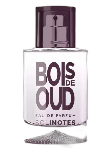 Bois De Oud Solinotes by Solinotes
