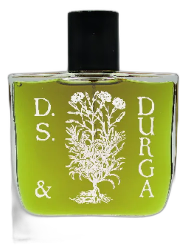 Boston Ivy Ds&durga by DS&Durga