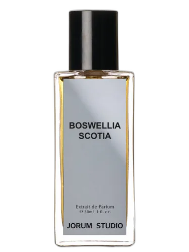 Boswellia Scotia Jorum Studio
