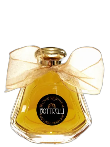 Botticelli Trnp by TRNP