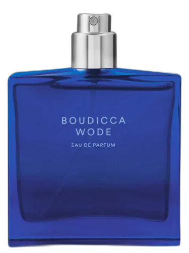 Boudicca Wode The Beautiful Mind Series by The Beautiful Mind Series