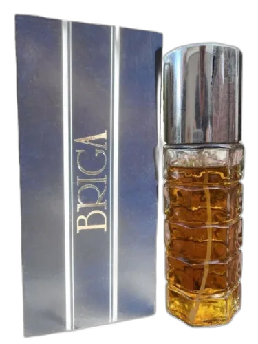 Briga (1982) Dzintars