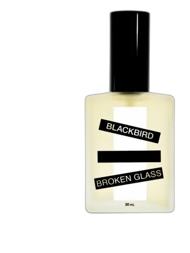 Broken Glass Blackbird by Blackbird