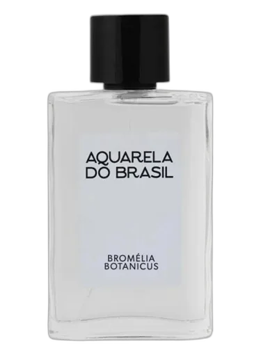 Bromélia Botanicus Aquarela Do Brasil