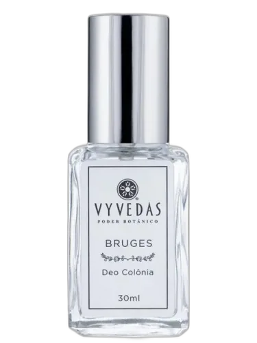 Bruges Vyvedas