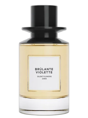 Brulante Violette Zara by Zara