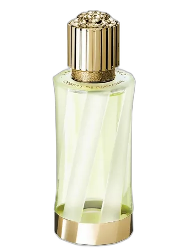 Cédrat De Diamante Versace by Versace