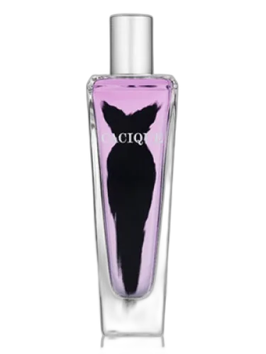 Cacique Lane Bryant