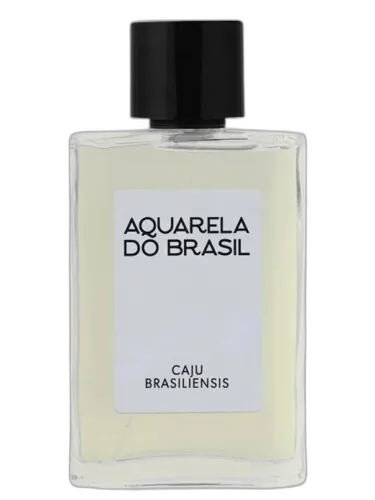 Caju Brasiliensis Aquarela Do Brasil