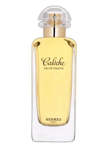 Caleche Hermès
