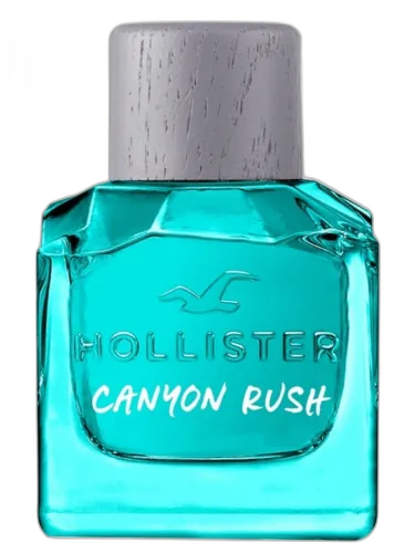 Canyon Rush For Him Hollister