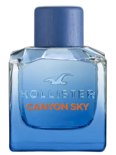 Canyon Sky For Him Hollister