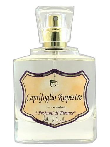 Caprifoglio Rupestre I Profumi Di Firenze