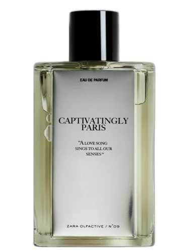 Captivatingly Paris Zara by Zara